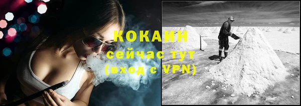 спайс Бородино