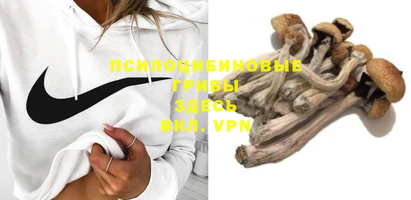 спайс Бородино