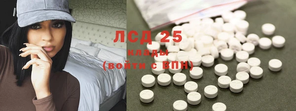 спайс Бородино