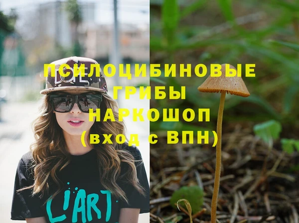 спайс Бородино
