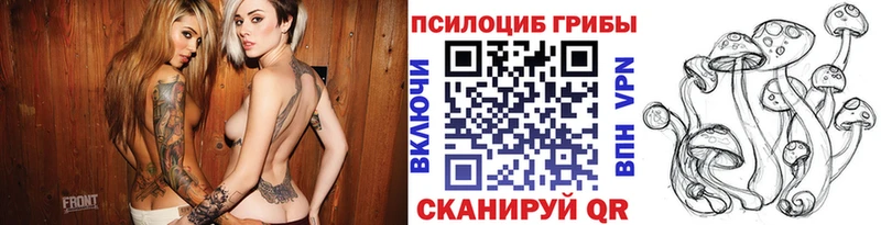 Галлюциногенные грибы прущие грибы  Гаджиево 