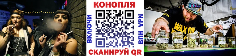 hydra вход  Гаджиево  Шишки марихуана тримм  хочу наркоту 